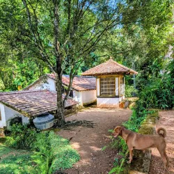 Lunuganga Estate - Beruwala