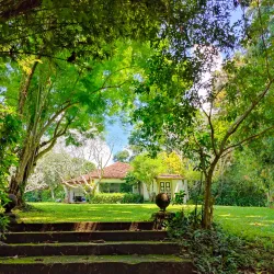 Lunuganga Estate - Beruwala