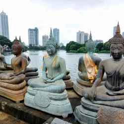 Beira Lake - Colombo