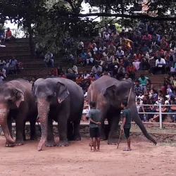 Dehiwala Zoo (National Zoological Gardens of Sri Lanka) - Dehiwala-Mount Lavinia