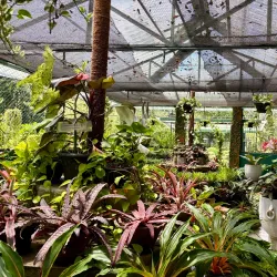 Gampaha Botanical Garden - Gampaha