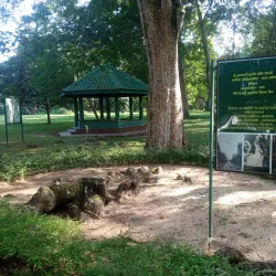 Gampaha Botanical Garden - Gampaha