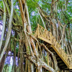 Gampaha Botanical Garden - Gampaha