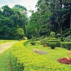 Henarathgoda Botanical Garden - Gampaha