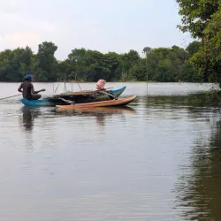 Muthurajawela Marsh - Gampaha