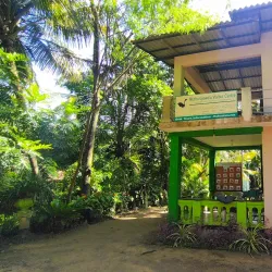 Muthurajawela Marsh - Gampaha