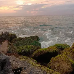 Negombo Beach - Gampaha