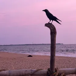Negombo Beach - Gampaha