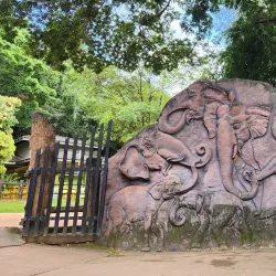 Pinnawala Elephant Orphanage - Gampaha