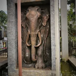 Pinnawala Elephant Orphanage - Gampaha