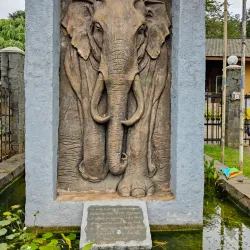 Pinnawala Elephant Orphanage - Gampaha
