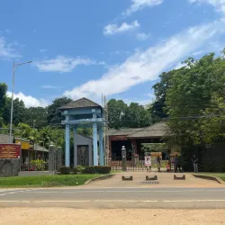 Pinnawala Elephant Orphanage - Gampaha