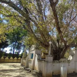 Udugampola Raja Maha Vihara - Gampaha