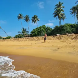Wadduwa Beach - Gampaha