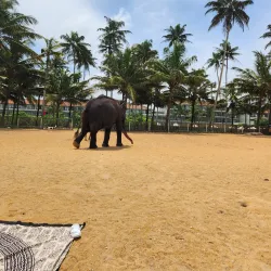Wadduwa Beach - Gampaha