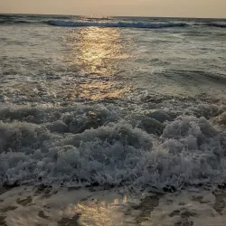 Wadduwa Beach - Gampaha