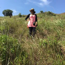 Alagalla Mountain Range - Gampola