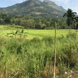 Alagalla Mountain Range - Gampola