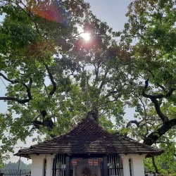 Gadaladeniya Temple - Gampola