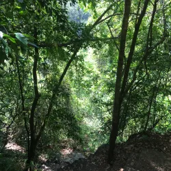 Kirimetiya Falls - Gampola