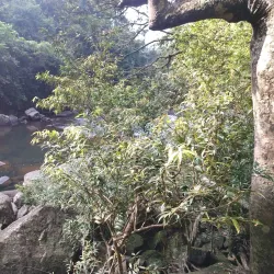 Kirimetiya Falls - Gampola