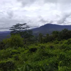 Kirimetiya Falls - Gampola