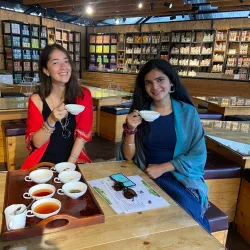 Tea Plantations around Gampola - Gampola