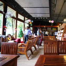 Tea Plantations around Gampola - Gampola