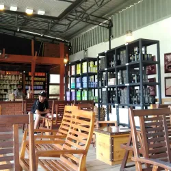 Tea Plantations around Gampola - Gampola