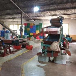 Tea Plantations around Gampola - Gampola