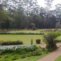 Victoria Park - Gampola