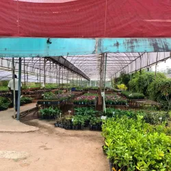 Boralanda Farm - Haputale