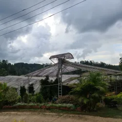 Boralanda Farm - Haputale