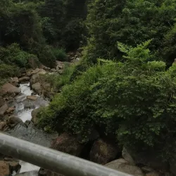 Diyaluma Falls - Haputale