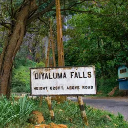 Diyaluma Falls - Haputale