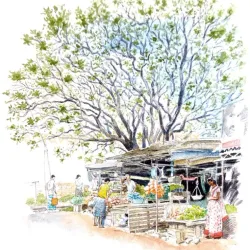 Haputale Market - Haputale