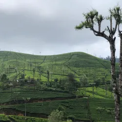 Haputale Railway Station - Haputale