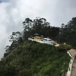 Haputale Tea Plantations - Haputale