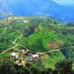 Haputale Viewpoint - Haputale