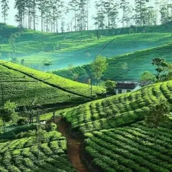 Haputale Viewpoint - Haputale