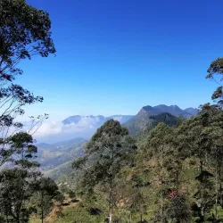 Thangamale Sanctuary - Haputale