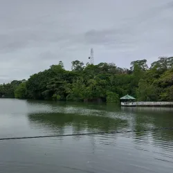 Koggala Lake - Hikkaduwa