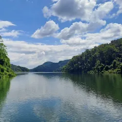 Labugama-Kalatuwawa Forest Reserve - Homagama