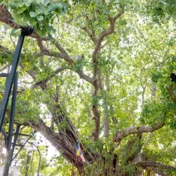 Kalutara Bodhiya - Horana