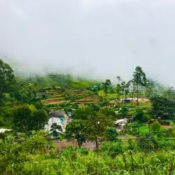 Kiriella Waterfall - Horana