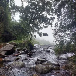 Kiriella Waterfall - Horana