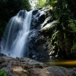 Sinharaja Forest Reserve - Horana