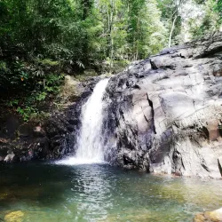 Sinharaja Forest Reserve - Horana