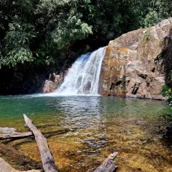 Sinharaja Forest Reserve - Horana