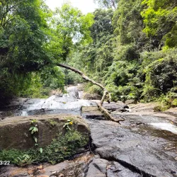 Sinharaja Forest Reserve - Horana
